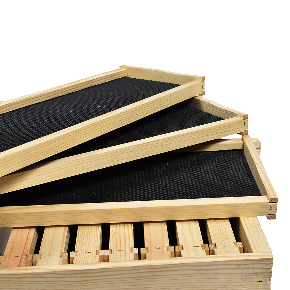 GoodLand Bee Supply GL-1BK Beekeeping Single Deep Beehive Kit - Picture 3 of 8