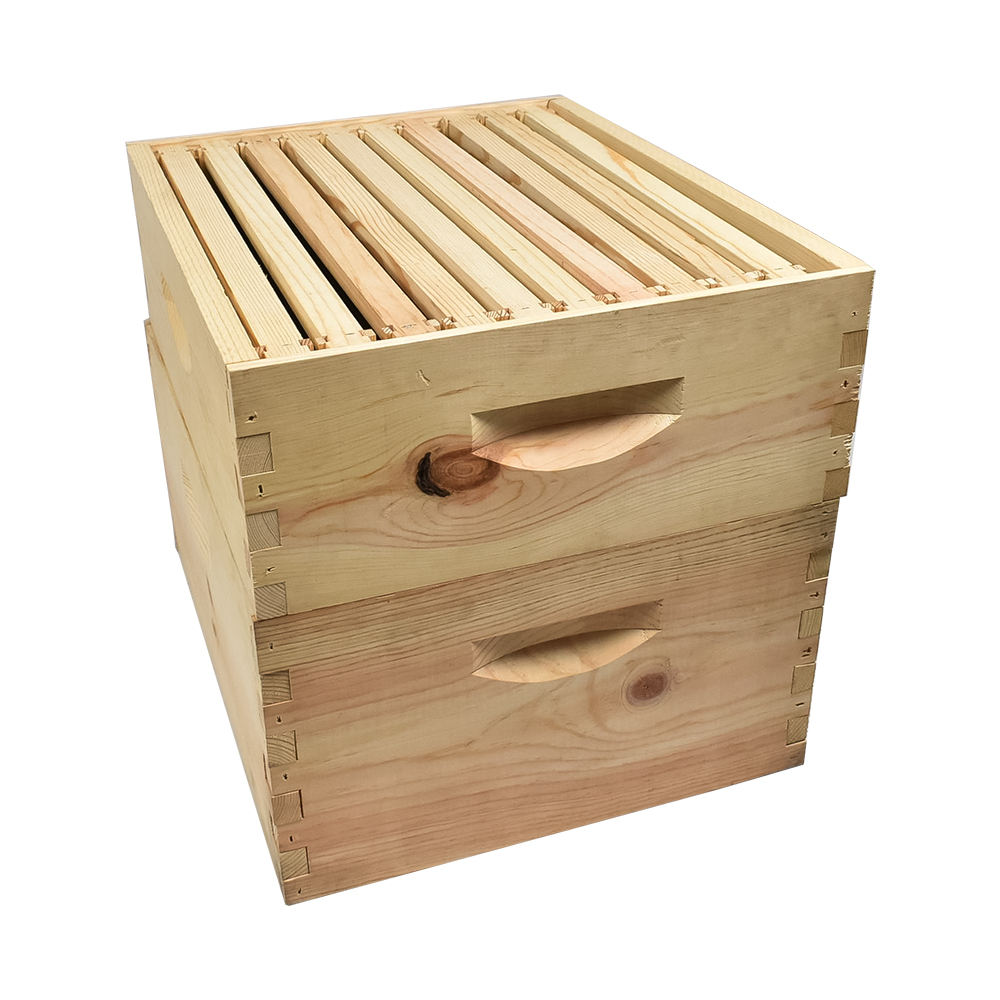 GoodLand Bee Supply GL-E2-2B1SK Imkerei Doppel Tief Bienenstock Set - Bild 1 von 7