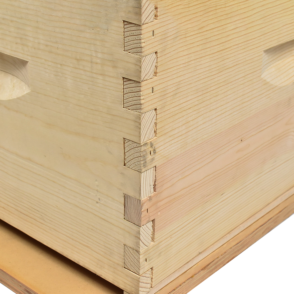 GoodLand Bee Supply GL-E2-2B1SK Imkerei Doppel Tief Bienenstock Set - Bild 2 von 7