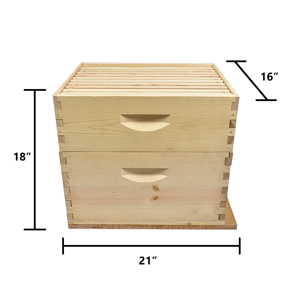 GoodLand Bee Supply GL-E2-2B1SK Imkerei Doppel Tief Bienenstock Set - Bild 3 von 7