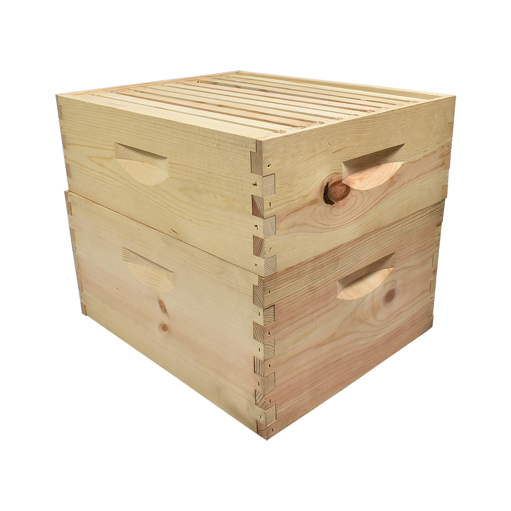 GoodLand Bee Supply GL-E2-2B1SK Imkerei Doppel Tief Bienenstock Set - Bild 4 von 7