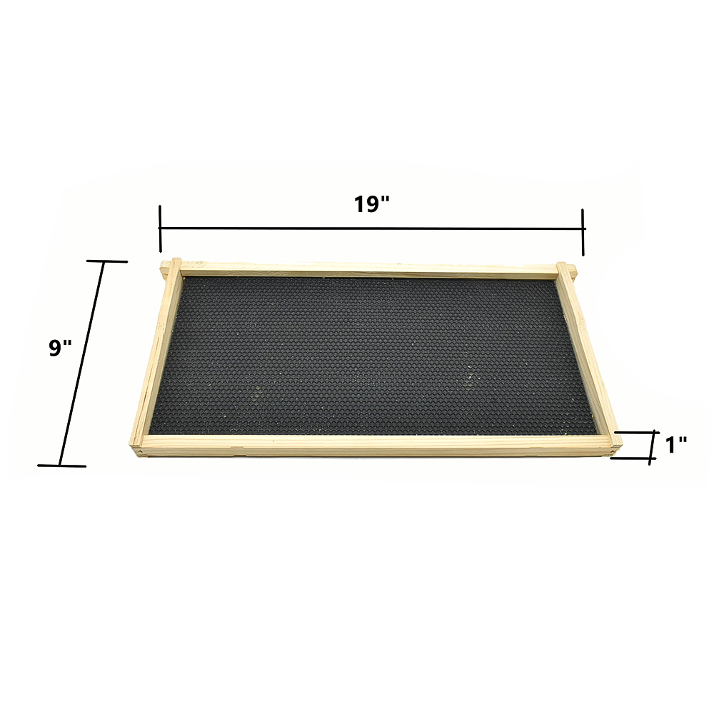 GoodLand Bee Supply GL-E2-2B1SK Imkerei Doppel Tief Bienenstock Set - Bild 6 von 7
